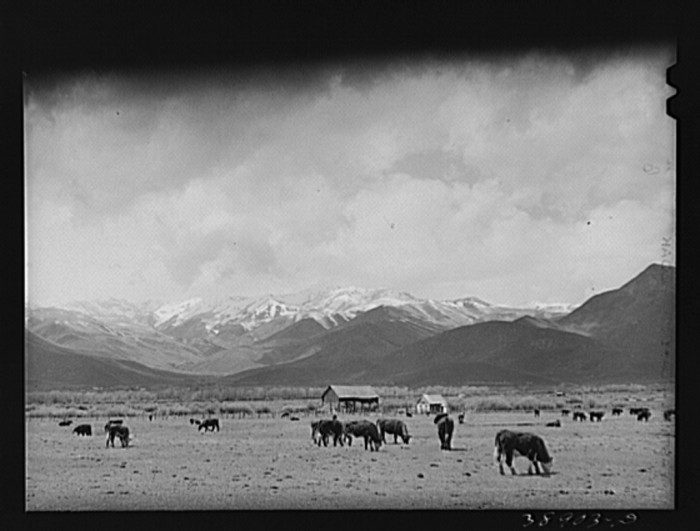 black and white film photograph of farmland surrounded by snow capped mountains