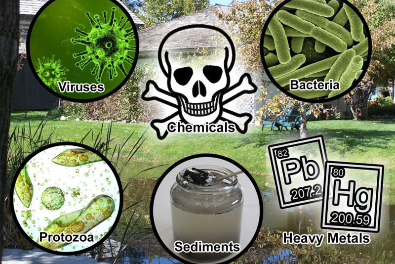 Viruses, chemicals, bacteria, protozoa, sediments, and heavy metals shown as possible contaminants of untreated water.