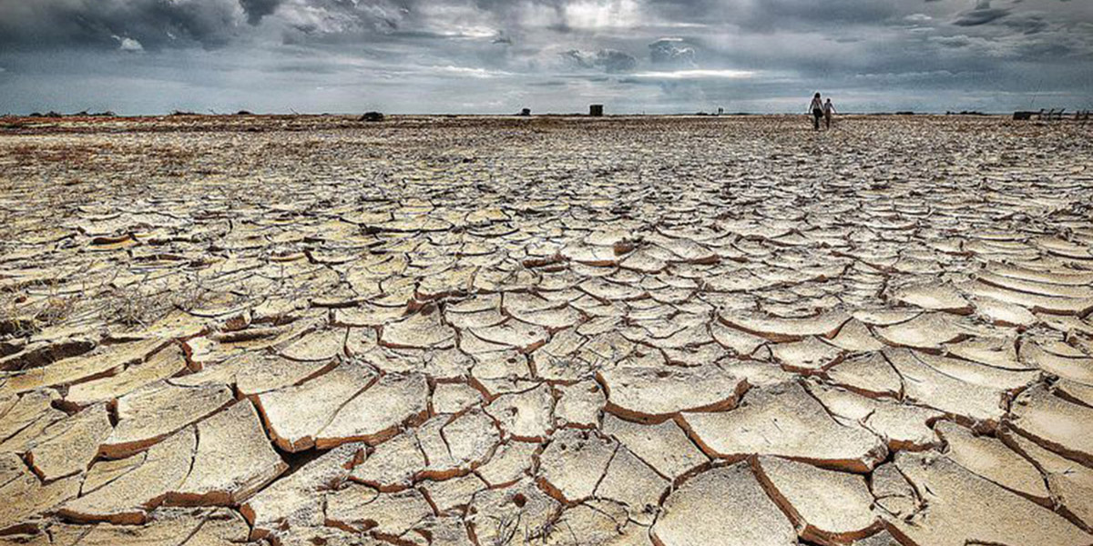 dried up desert landscape with cracked dirt