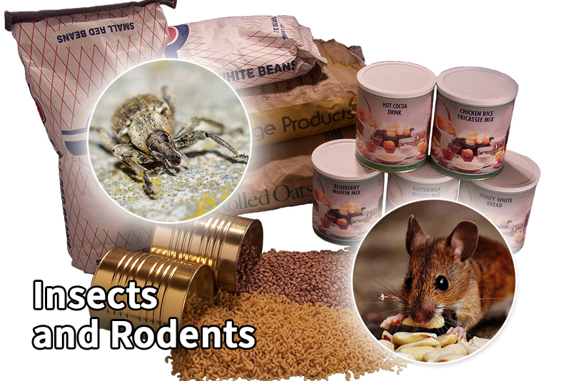 A weevil insect and a mouse over a picture of bags and cans of dry food storage. Text reads, "Insects and Rodents."