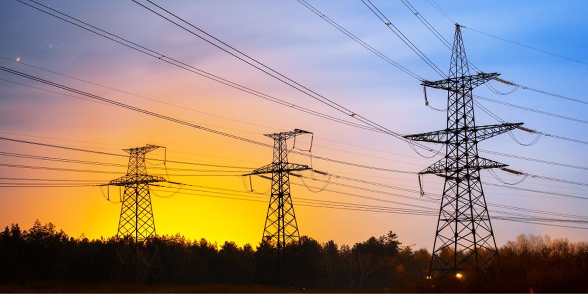 powerlines next to trees at sunset