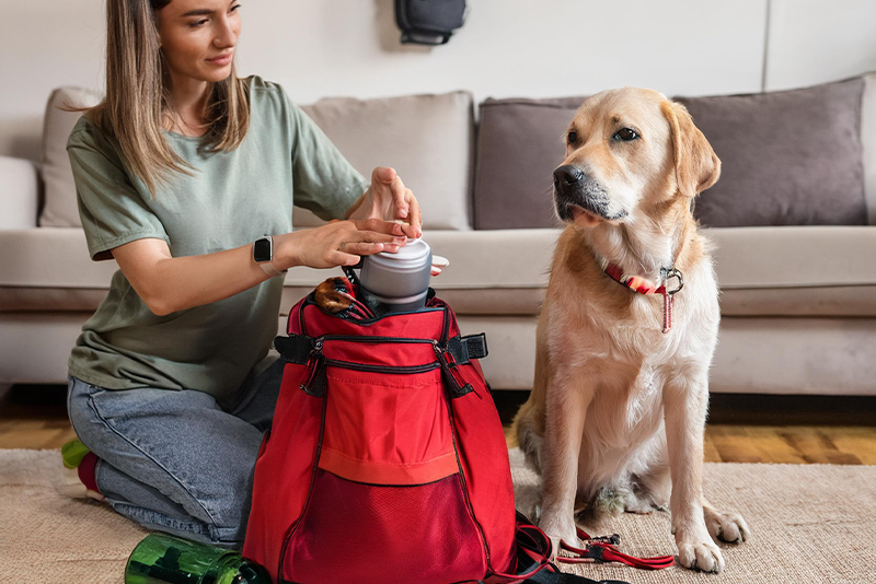 A woman kneeling on a carpeted floor is placing pet emergency supplies into a red backpack while a dog with a collar sits attentively nearby in a living room.